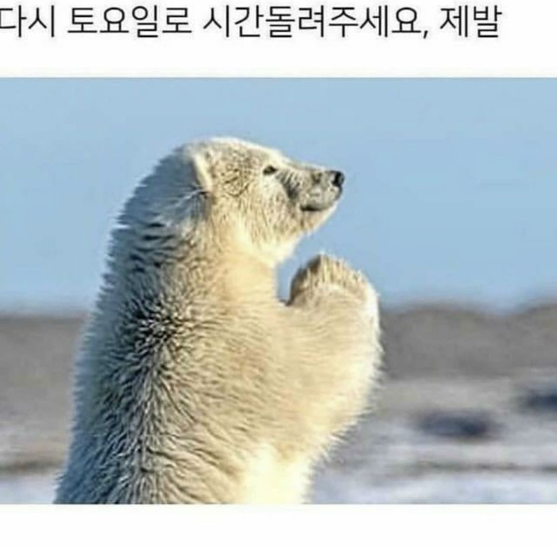 이미지 설명