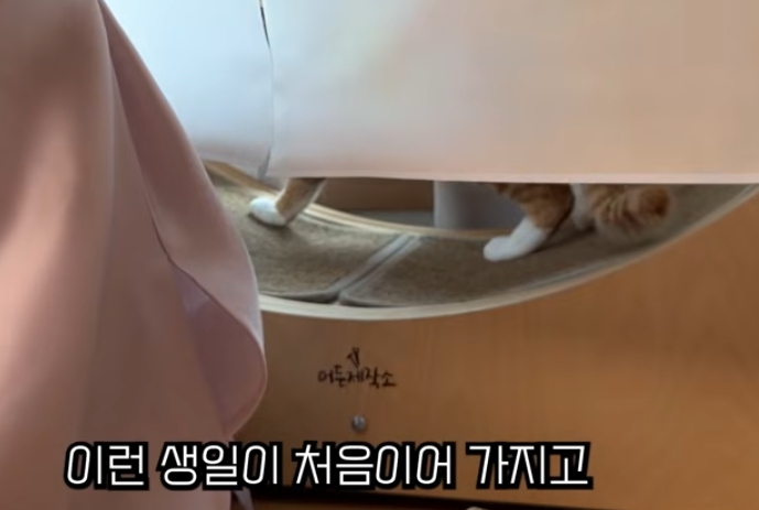 이미지 설명