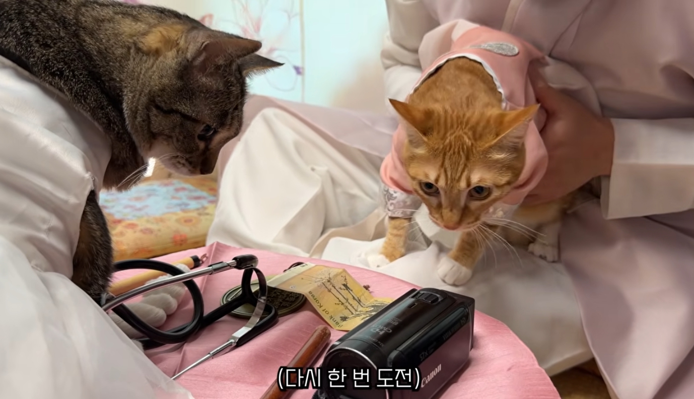 이미지 설명